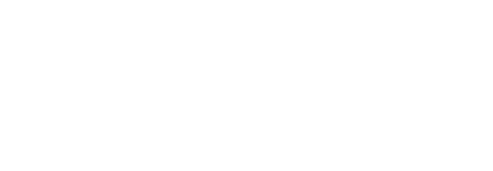 Accelon