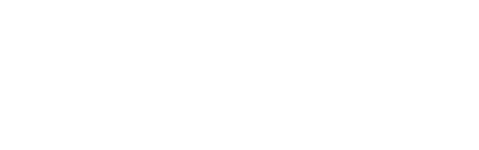 Skyone