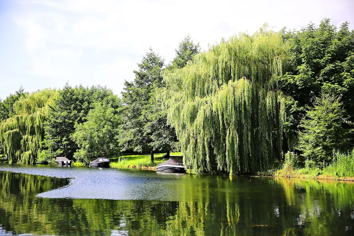 Weerwater lake near the venue